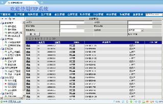 變壓器工廠ERP系統全攻略 價格、廠家、圖片與軟件開發詳解